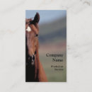 Recherche de tête de cheval cartes visite Sauvage