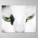 Recherche de attitude posters Adorable