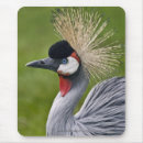Suche nach gekrönt mousepads Vogel