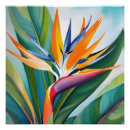 Suche nach paradiesvogel poster Blätter