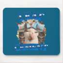 Recherche de femme chat tapis souris Enfants