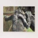 Recherche de chimpanzé puzzles Animaux