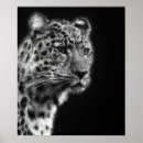 Recherche de noir blanc dessin posters Décoratif