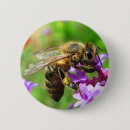 Suche nach bestäubung buttons Honig