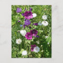 Suche nach lila wildblumen postkarten Blumenfotografie