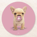 Recherche de bouledogue français bar Mignon