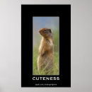 Suche nach murmeltiere poster Nagetiere