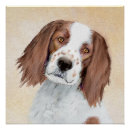 Suche nach irish setter poster Hund