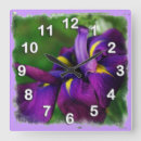 Recherche de iris horloges Floral