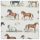 Recherche de race de cheval Équestre