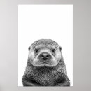 Suche nach sea otter poster Ozean