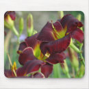 Suche nach taglilien mousepads Flora