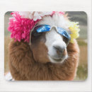 Suche nach alpaka mousepads Tier