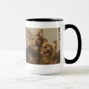 Recherche de yorkshire terrier tasses Yorkie
