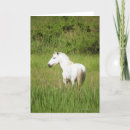 Suche nach pferdebilder karten Pferdephotographie