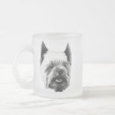 Recherche de terriers yorkshire tasses Pour tous