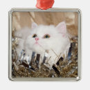 Recherche de perse ornements Noël