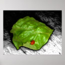 Suche nach ladybug poster Darstellung
