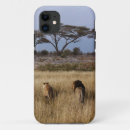 Suche nach africa iphone hüllen Löwe