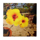 Suche nach gelber hibiskus fliesen Tropisch