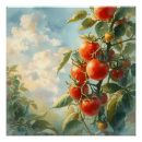 Recherche de fruit de la vigne posters Tomate