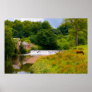 Recherche de un cheval posters Paysage