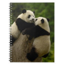 Suche nach shaanxi Moos