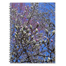 Recherche de bourgeons de magnolia Arbre