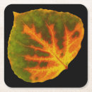 Suche nach grüner apfel untersetzer Herbst