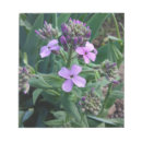 Suche nach lila blume notizblock Natur