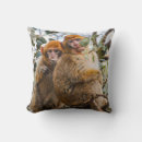 Recherche de zoo coussins Amusant