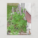 Suche nach hi postkarten Lustig