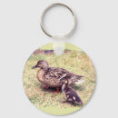 Suche nach enten schlüsselanhänger Natur