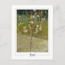 Suche nach mandel poster Blumen