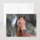 Suche nach oldenburg poster Kastanie