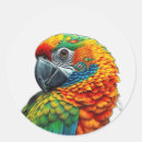 Recherche de perroquets autocollants Plumes