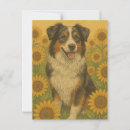 Suche nach australian shepherd postkarten Hunde
