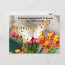 Recherche de paon blanc cartes postales Papillon