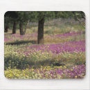 Recherche de sables tapis souris Rose