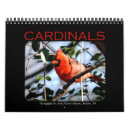 Suche nach kardinal kalender Foto