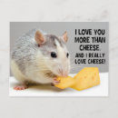 Suche nach haustierratte Weiße ratte