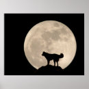 Recherche de husky posters Malamute