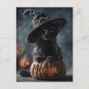 Suche nach katzen in den hüten poster Tier
