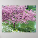 Suche nach rosa blüten auf baum poster Wasser