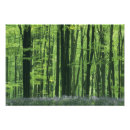 Suche nach wiltshire poster Reise