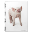 Suche nach babys kleine notizbücher Tier