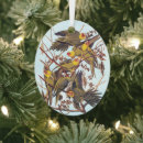 Recherche de perruches ornements Nature