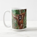 Recherche de humour femelle tasses Amusement