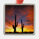 Recherche de desert ornements Coucher de soleil