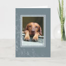Suche nach ungarische karten Vizsla